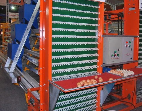 Egg Collection System